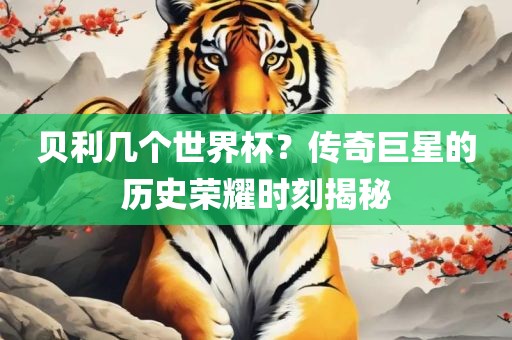贝利几个世界杯广西贺州市华昌新材料有限公司？传奇巨星的历史荣耀时刻揭秘