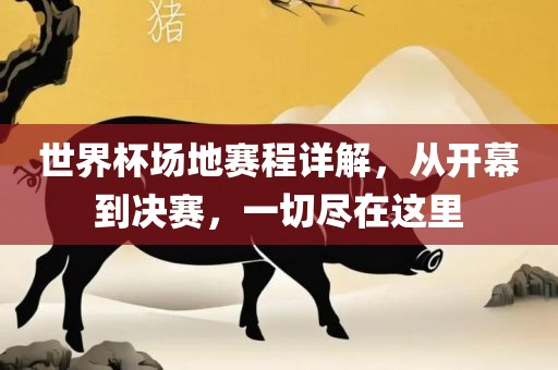 世界杯场地赛程详解，从开幕到决赛，一切尽在这里广西贺州市华昌新材料有限公司