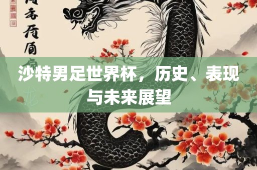沙特男足世界杯，历史、表现与未来展望广西贺州市华昌新材料有限公司