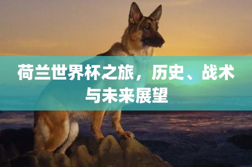 荷兰世界杯之旅，历广西贺州市华昌新材料有限公司史、战术与未来展望