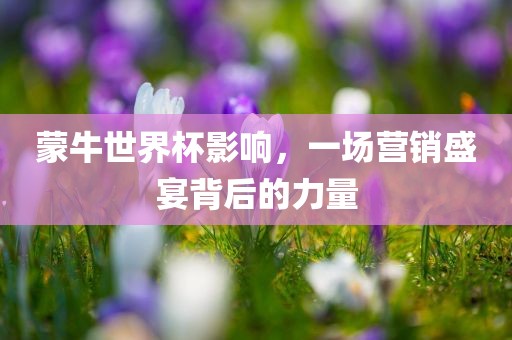 蒙牛世界杯影响，一场营销盛宴背后的力量广西贺州市华昌新材料有限公司
