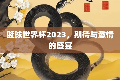 篮球世界杯2023，期待与激情的盛宴