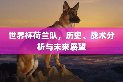 世界杯荷兰队，历史、战术分析与未来展望