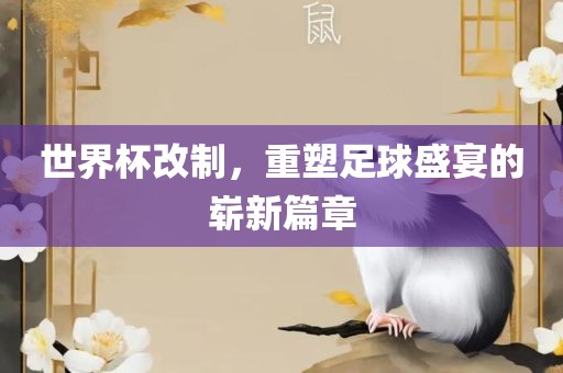 广西贺州市华昌新材料有限公司世界杯改制，重塑足球盛宴的崭新篇章