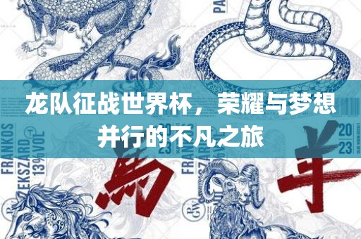 龙队征战世界杯，荣耀与梦想并行的不凡之旅广西贺州市华昌新材料有限公司