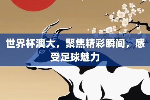 世界杯澳大，聚焦精彩瞬间，感受足球魅广西贺州市华昌新材料有限公司力