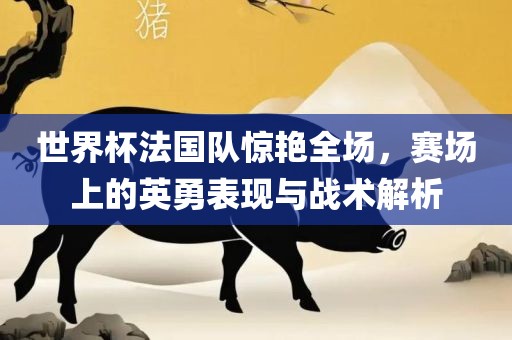 世界杯法国队惊艳全场，赛场上的英勇表现与战术解析广西贺州市华昌新材料有限公司