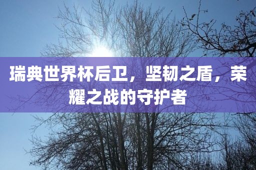 瑞典世界杯后卫，坚韧之盾，荣耀之战的守护者广西贺州市华昌新材料有限公司