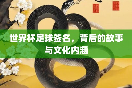 世界杯足球签名，背后的故事与文化内涵广西贺州市华昌新材料有限公司