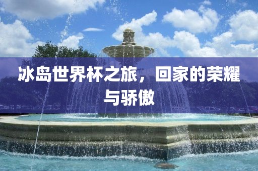 冰岛世界杯之旅，回家的荣耀与骄傲广西贺州市华昌新材料有限公司