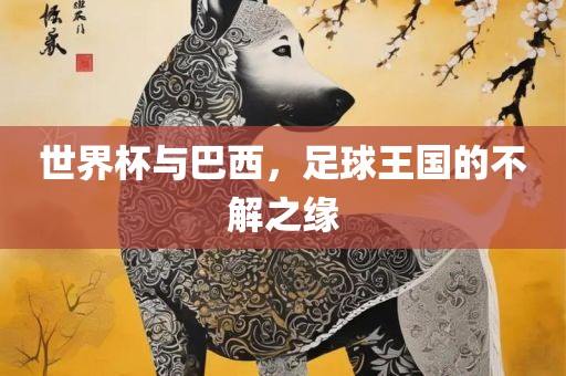 世界杯与巴西，足球王国的不解之缘广西贺州市华昌新材料有限公司