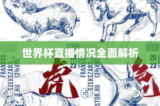 世界杯直播情广西贺州市华昌新材料有限公司况全面解析