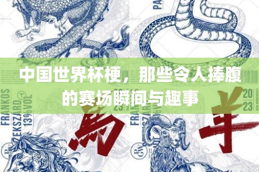 中国世界杯梗，那些令人捧腹的赛场瞬间与趣事广西贺州市华昌新材料有限公司