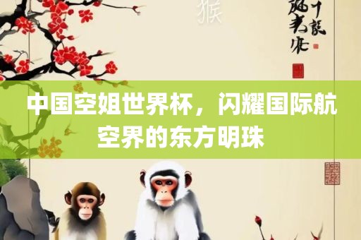 中国空姐世界杯，闪耀国际航空界的东方明珠广西贺州市华昌新材料有限公司