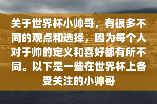 关于世界杯小帅哥，有很多不同的观点和选择，因为每个人对于帅的定义和喜好都有所不同。以下是一些在世界杯上备受关注的小帅哥广西贺州市华昌新材料有限公司