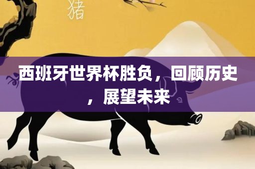 西班牙世界杯胜负，回顾历史，展望未来广西贺州市华昌新材料有限公司