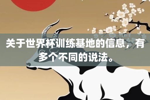 关于世界杯训练基广西贺州市华昌新材料有限公司地的信息，有多个不同的说法。