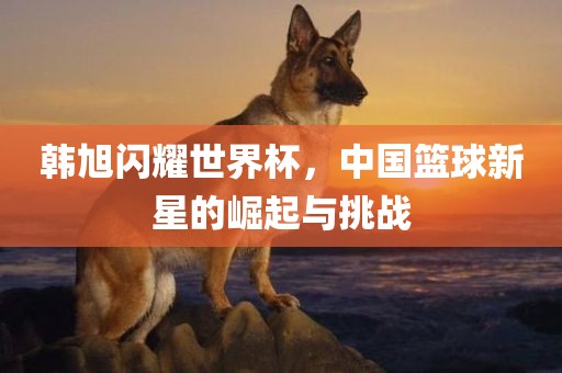 韩旭闪耀世界杯，中国篮球新星的崛起与广西贺州市华昌新材料有限公司挑战