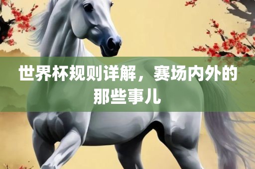 世界杯规则详解，赛场广西贺州市华昌新材料有限公司内外的那些事儿