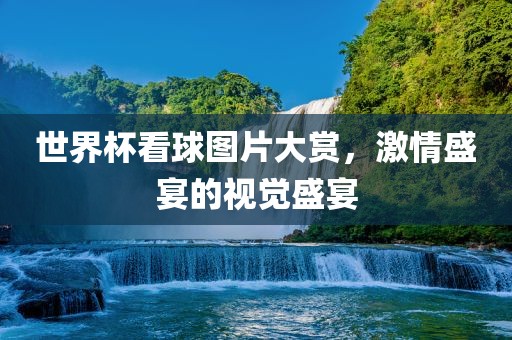 世界杯看球图片大赏，激情盛宴的视觉盛宴