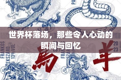 世界杯落场，那些令人心动的瞬间与回忆广西贺州市华昌新材料有限公司