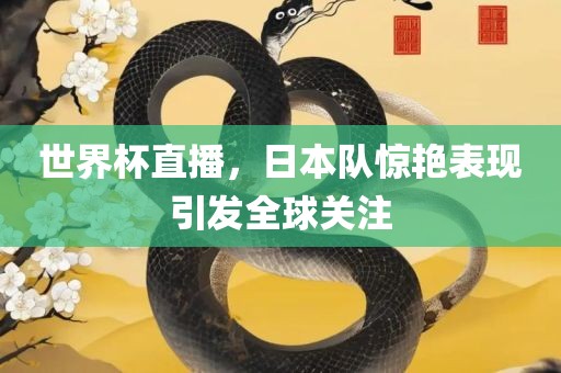 世界杯直播，日本队惊艳表现引发全球关注广西贺州市华昌新材料有限公司