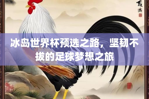 冰岛世界杯预选之路，坚韧不拔的足球梦想之旅