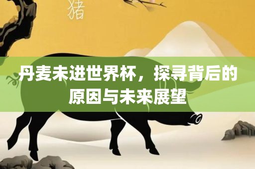 丹麦未进世界杯，探寻背后的原因与未来展望
