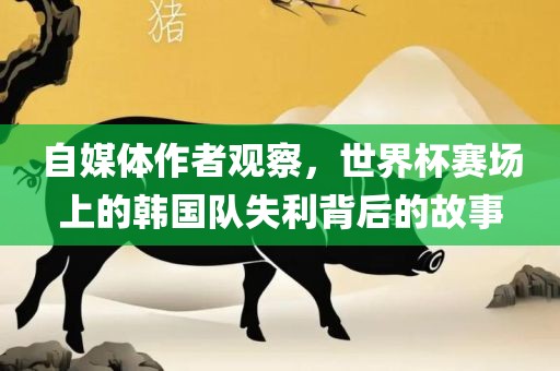 自媒体作者观察，世界杯赛场上的韩国队失利背后的故事广西贺州市华昌新材料有限公司