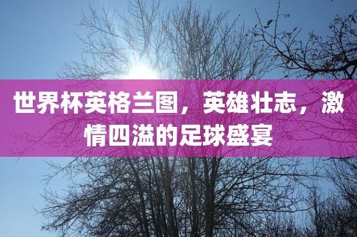 世界杯英格兰图，英雄壮志，激情四溢的足球盛宴广西贺州市华昌新材料有限公司