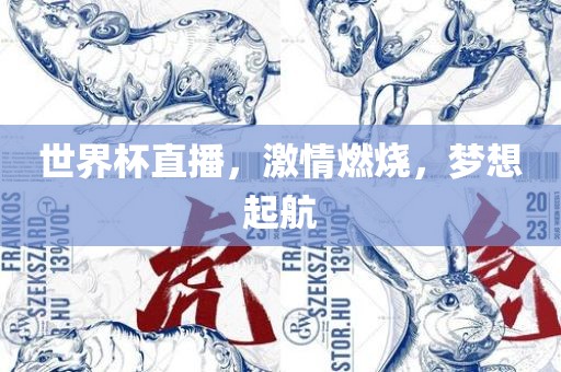 世界杯直播，激情燃烧，梦想起航广西贺州市华昌新材料有限公司