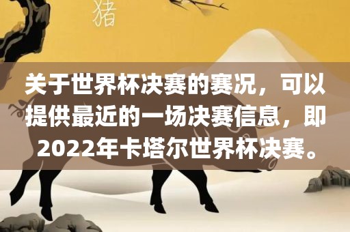 关于世界杯决赛的赛况，可以提供最近的一场决赛信息，即2022年卡塔尔世界杯决赛。广西贺州市华昌新材料有限公司