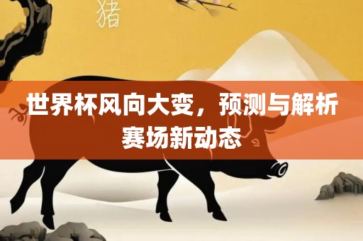 世界杯风向大变，预测与解析赛场新动态广西贺州市华昌新材料有限公司