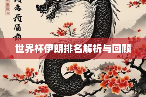 世界杯广西贺州市华昌新材料有限公司伊朗排名解析与回顾