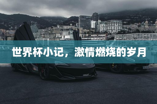 世界杯小记，激情燃烧的岁月