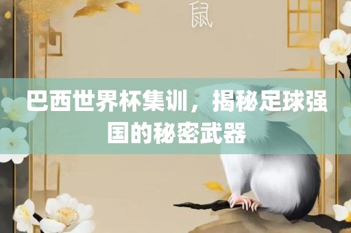 巴西世界杯广西贺州市华昌新材料有限公司集训，揭秘足球强国的秘密武器