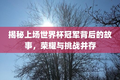 揭秘上场世界杯冠军背后的故事，荣耀与挑战并存
