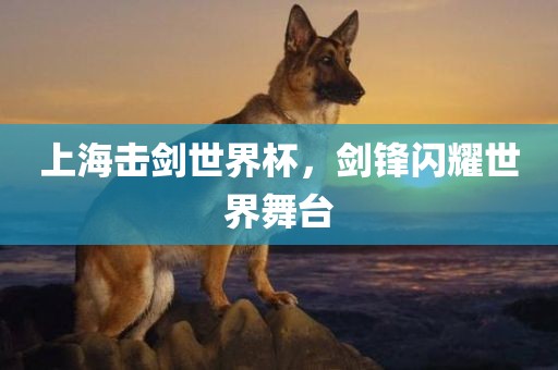 上海击剑世界杯，剑锋闪耀世界舞台广西贺州市华昌新材料有限公司