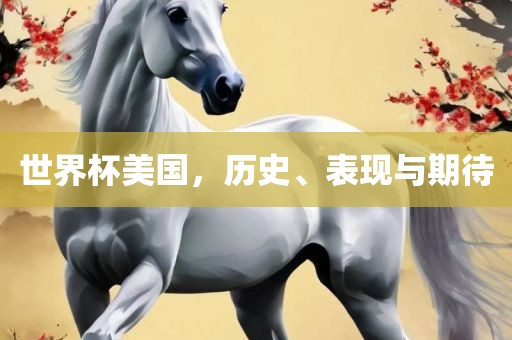 世界杯美国，历史、表现与期待广西贺州市华昌新材料有限公司