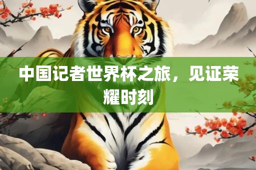 中国记者世界杯之旅，见证荣耀时刻广西贺州市华昌新材料有限公司