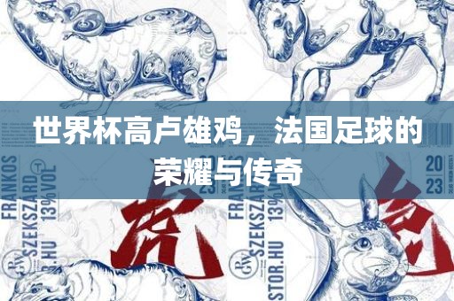 世界杯高卢雄鸡，法国足球的荣耀与传奇广西贺州市华昌新材料有限公司