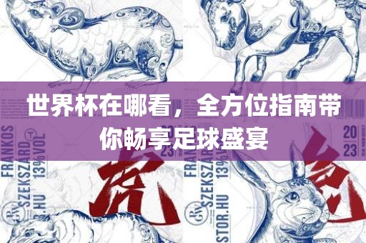 世界杯在哪看，全方位指南带你畅享足球盛宴
