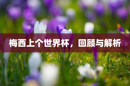 梅西上个世界杯，回顾与解析广西贺州市华昌新材料有限公司
