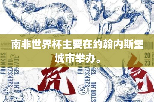 南非世界杯主要在约翰内斯堡城市举办。广西贺州市华昌新材料有限公司