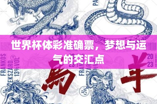 世界杯体彩准确票，梦广西贺州市华昌新材料有限公司想与运气的交汇点